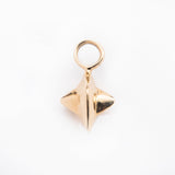 Nutmeg Charm - 14k Yellow or Rose Gold