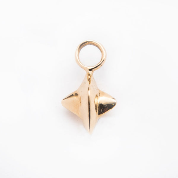 Nutmeg Charm - 14k Yellow or Rose Gold